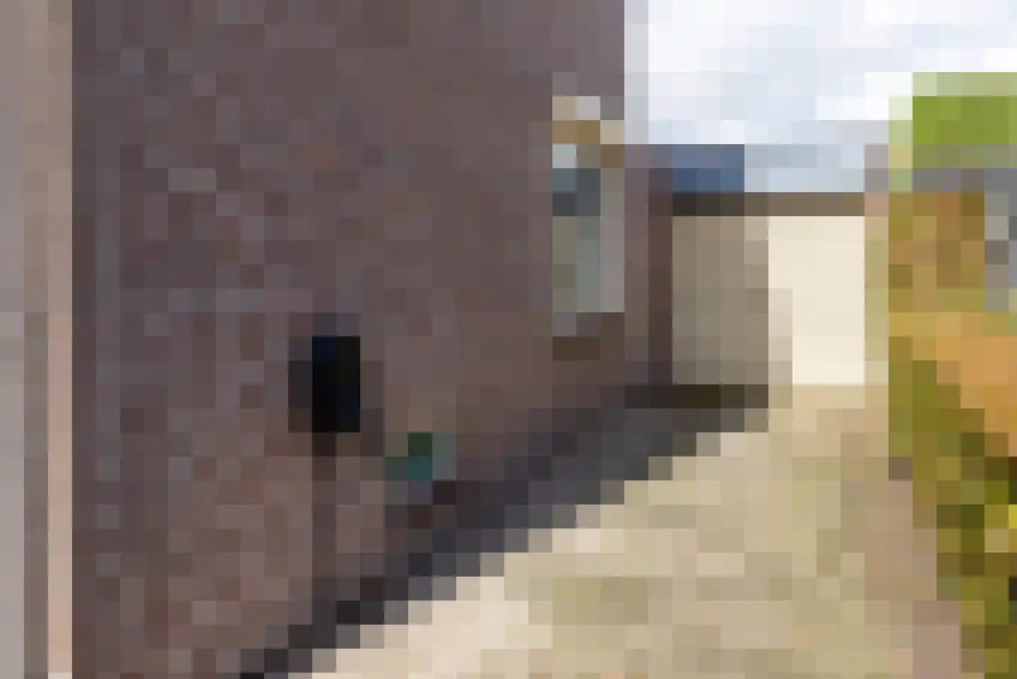 Oude Hoofdweg 52 Zegge thumbnail 45