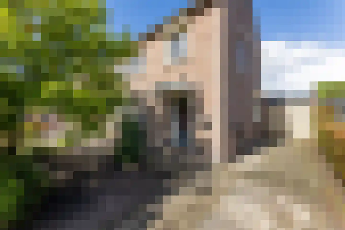 Oude Hoofdweg 52 Zegge thumbnail 50