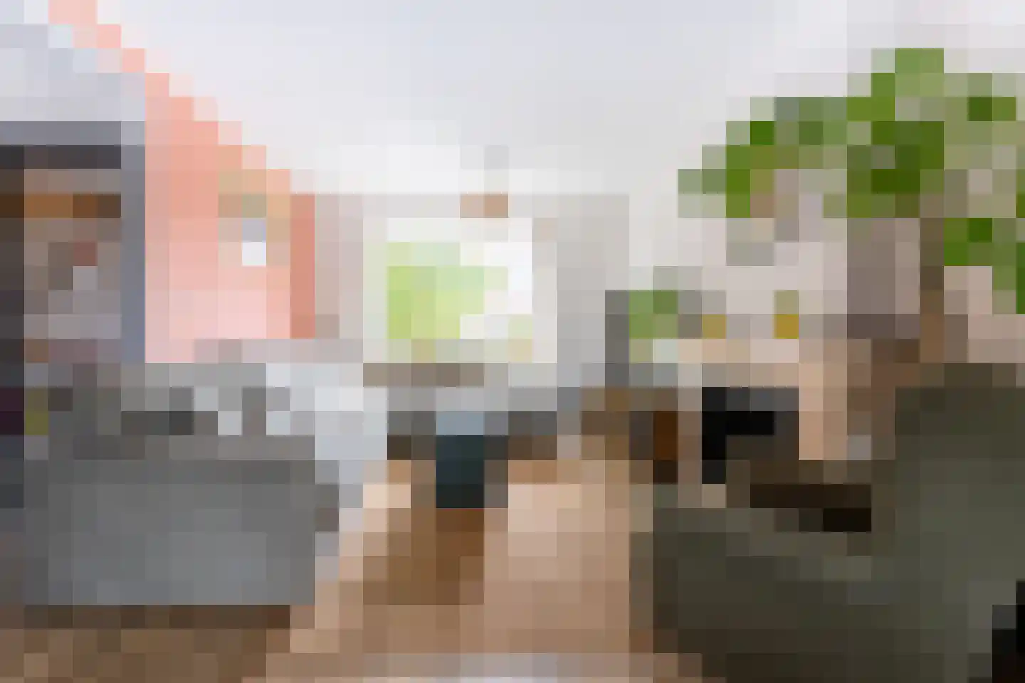 Oude Hoofdweg 52 Zegge thumbnail 6