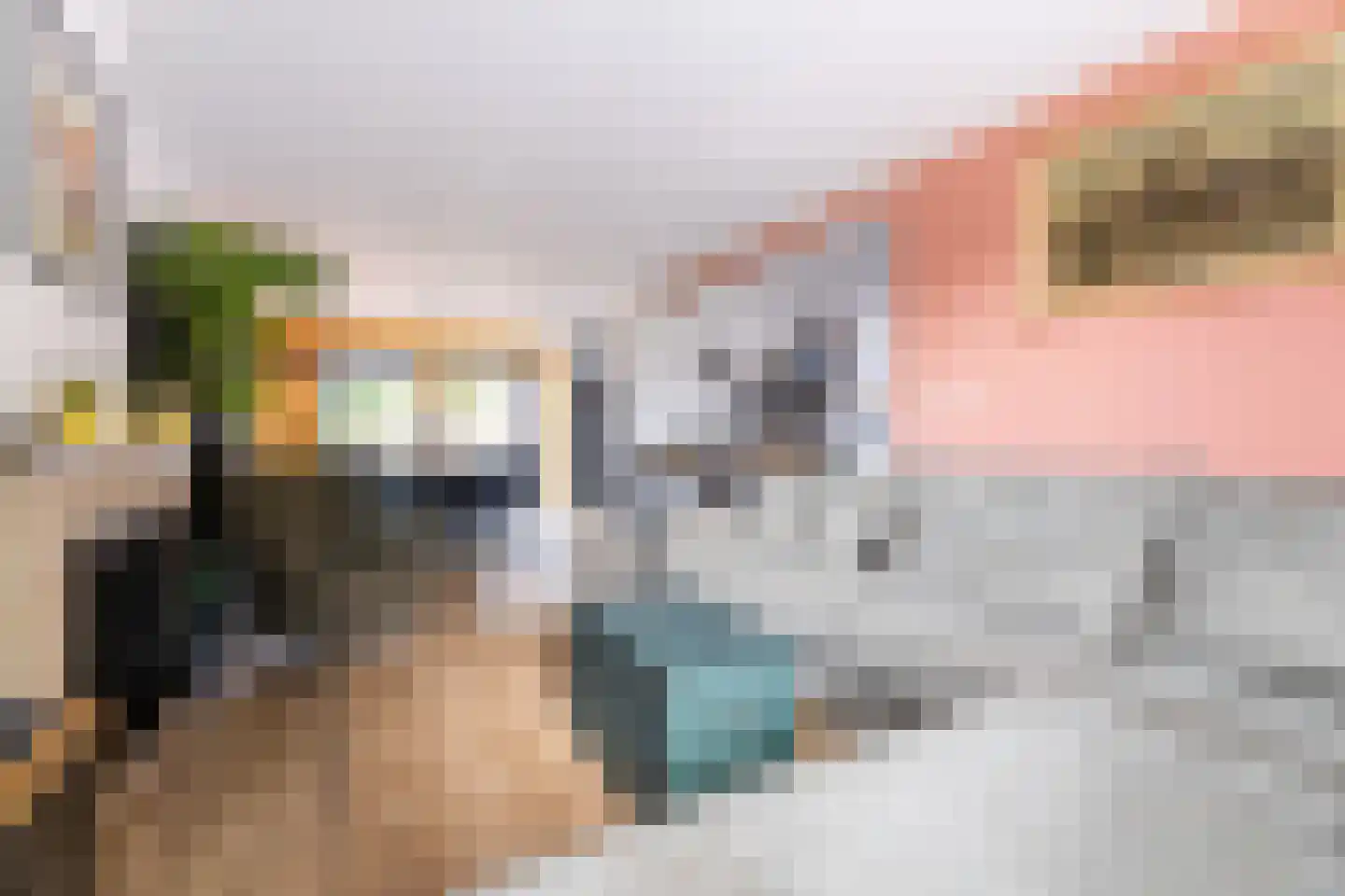 Oude Hoofdweg 52 Zegge thumbnail 7