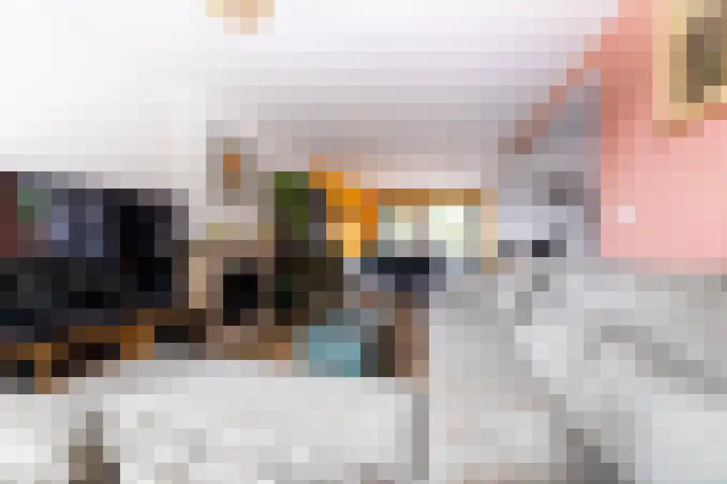 Oude Hoofdweg 52 Zegge thumbnail 9