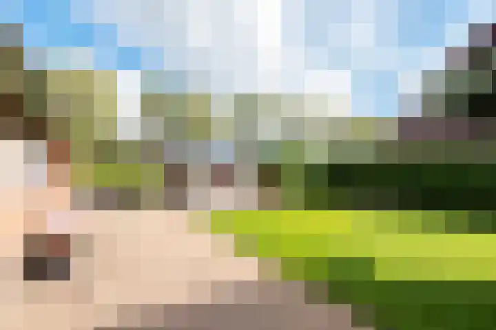 Oude Hoornseweg 27 Wognum thumbnail 36
