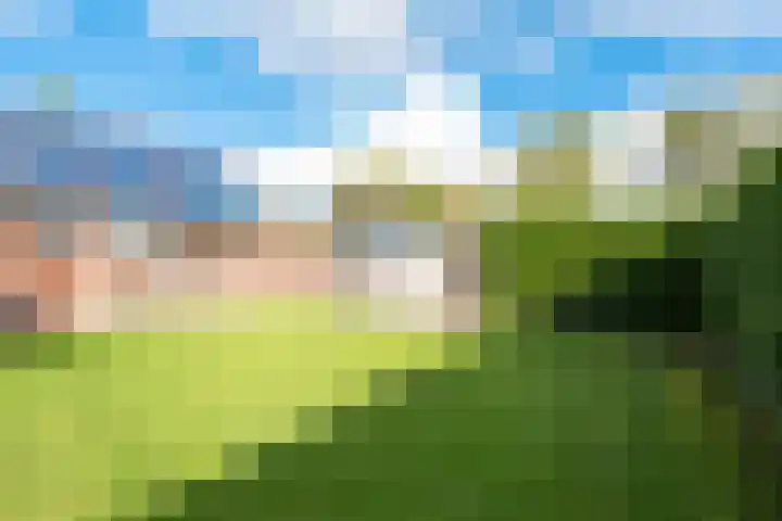Oude Hoornseweg 27 Wognum thumbnail 38