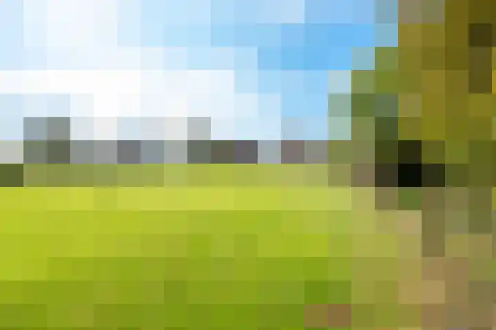 Oude Hoornseweg 27 Wognum thumbnail 44