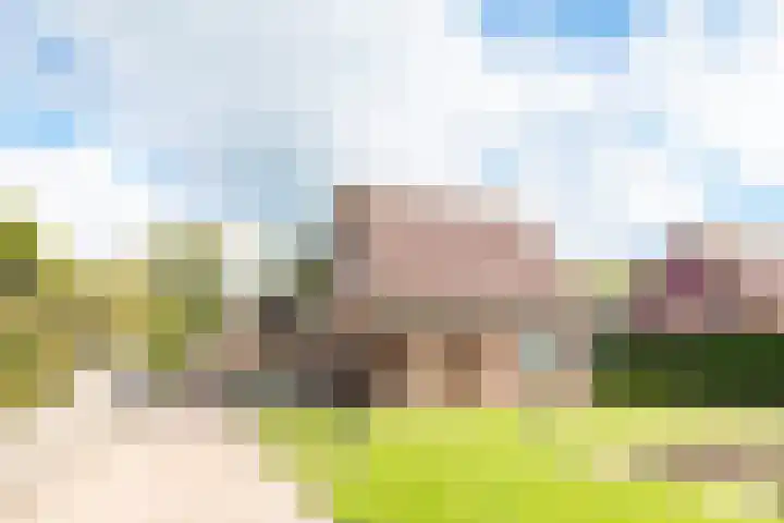 Oude Hoornseweg 27 Wognum thumbnail 45