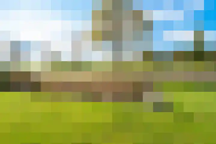 Oude Hoornseweg 27 Wognum thumbnail 46