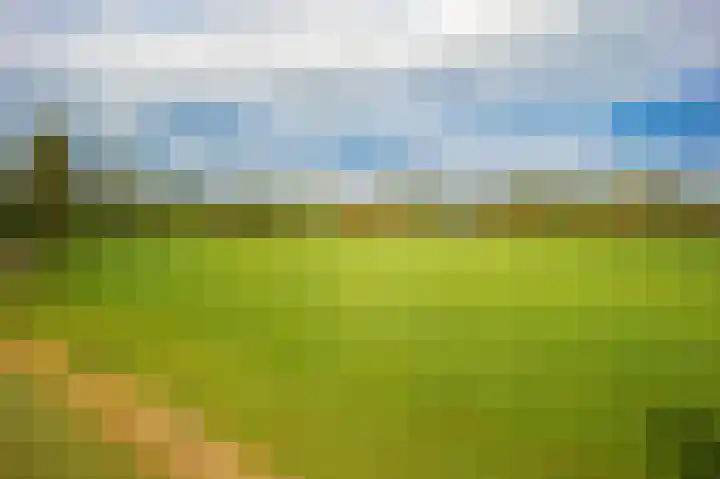 Oude Hoornseweg 27 Wognum thumbnail 48