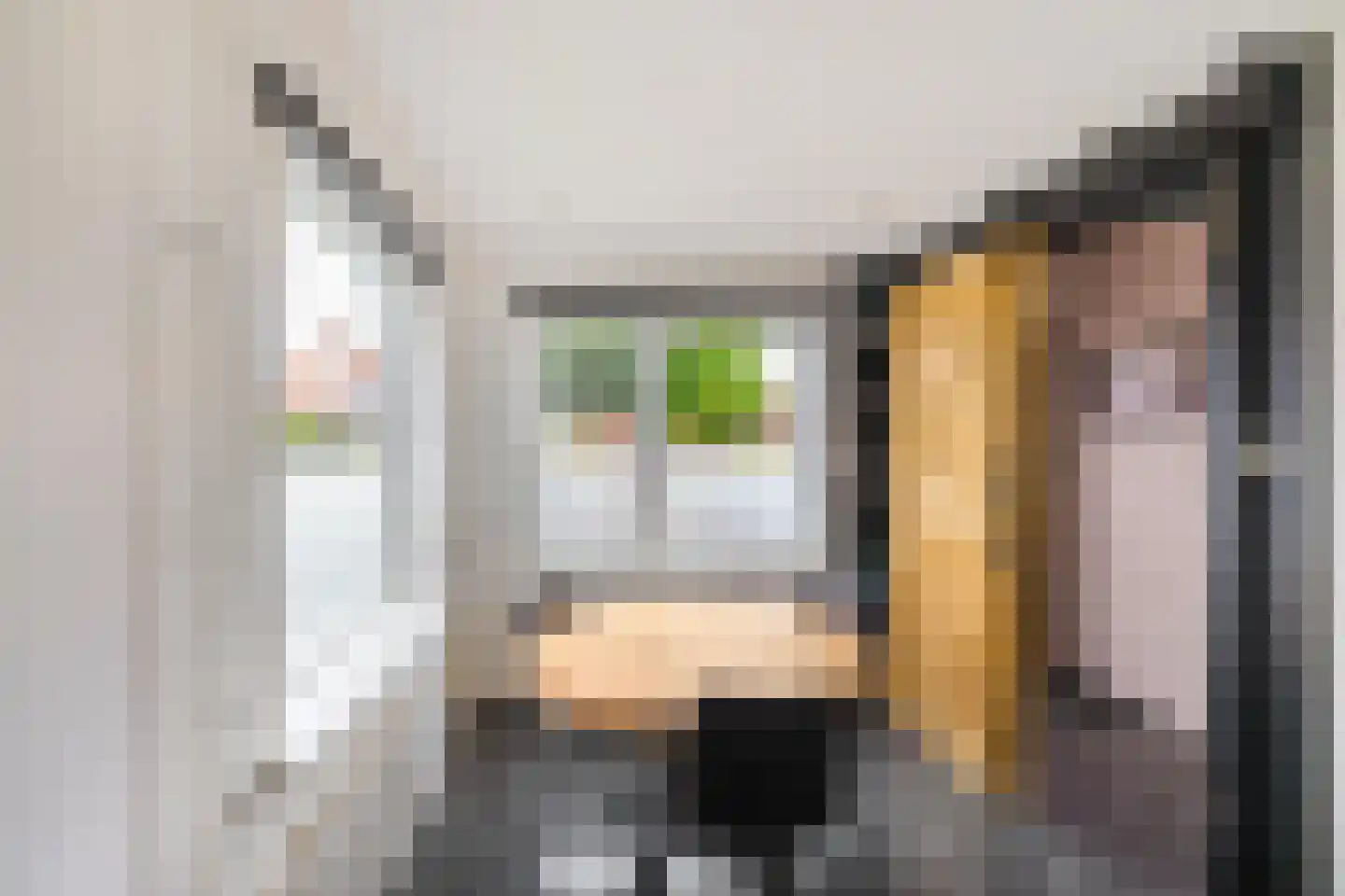 Oude Horn 2 Leens thumbnail 10