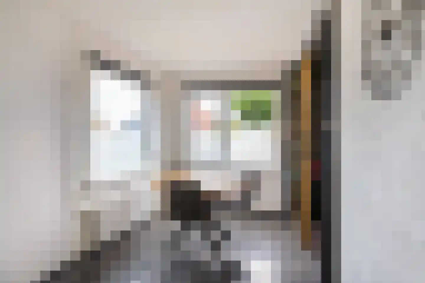 Oude Horn 2 Leens thumbnail 11