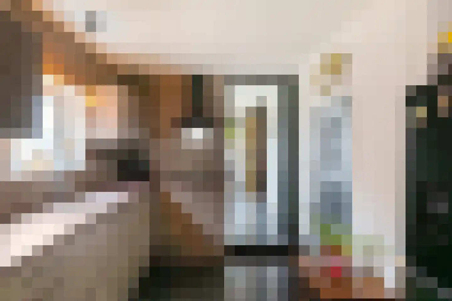 Oude Horn 2 Leens thumbnail 12