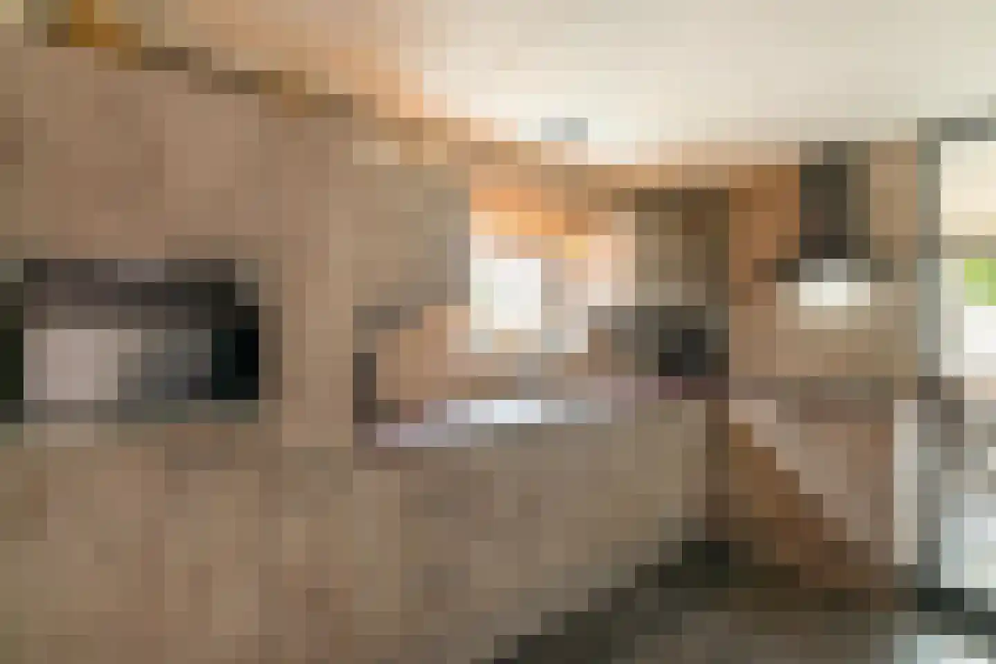 Oude Horn 2 Leens thumbnail 13