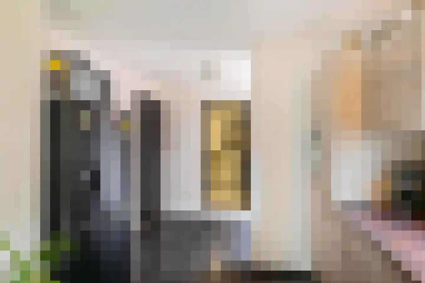Oude Horn 2 Leens thumbnail 14