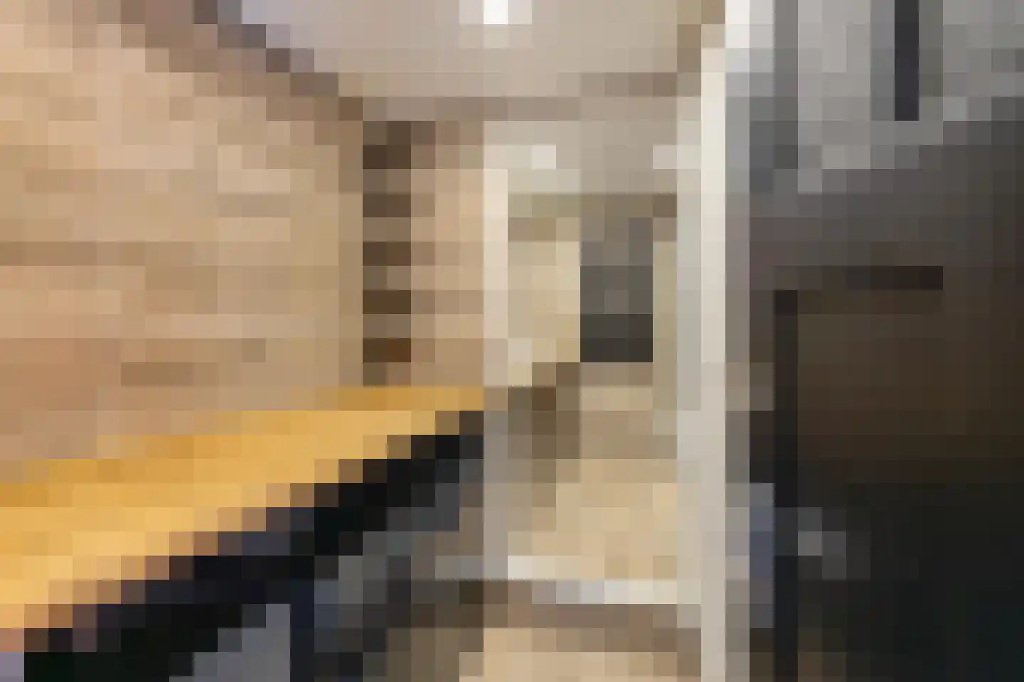 Oude Horn 2 Leens thumbnail 15