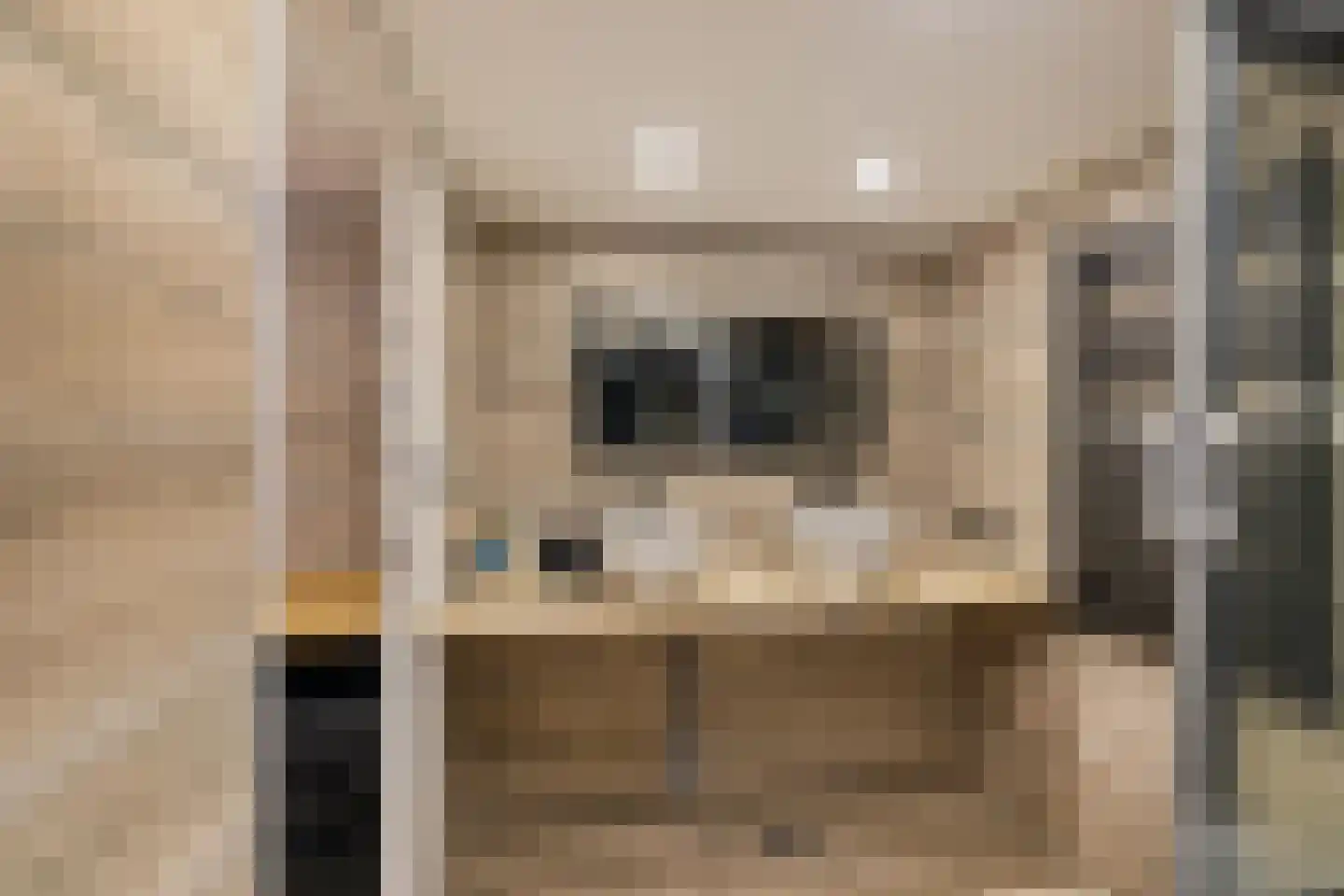 Oude Horn 2 Leens thumbnail 16
