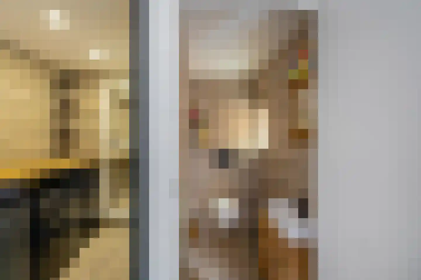 Oude Horn 2 Leens thumbnail 18