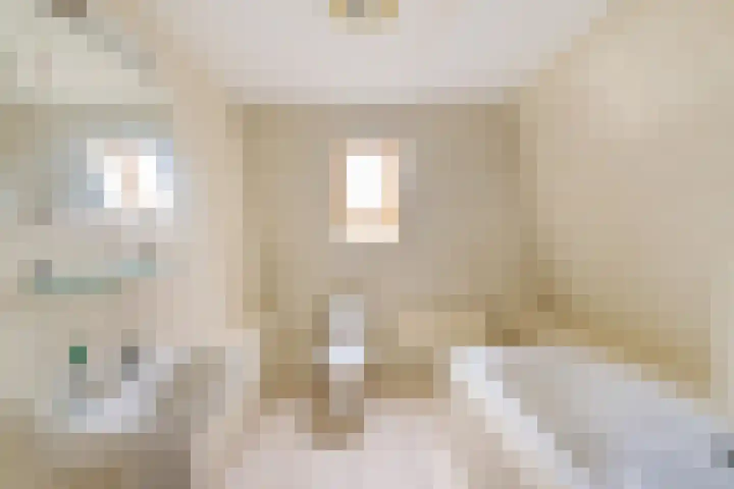 Oude Horn 2 Leens thumbnail 22