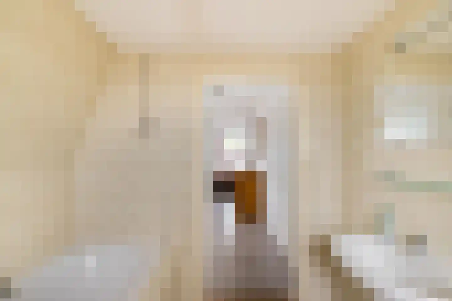 Oude Horn 2 Leens thumbnail 23