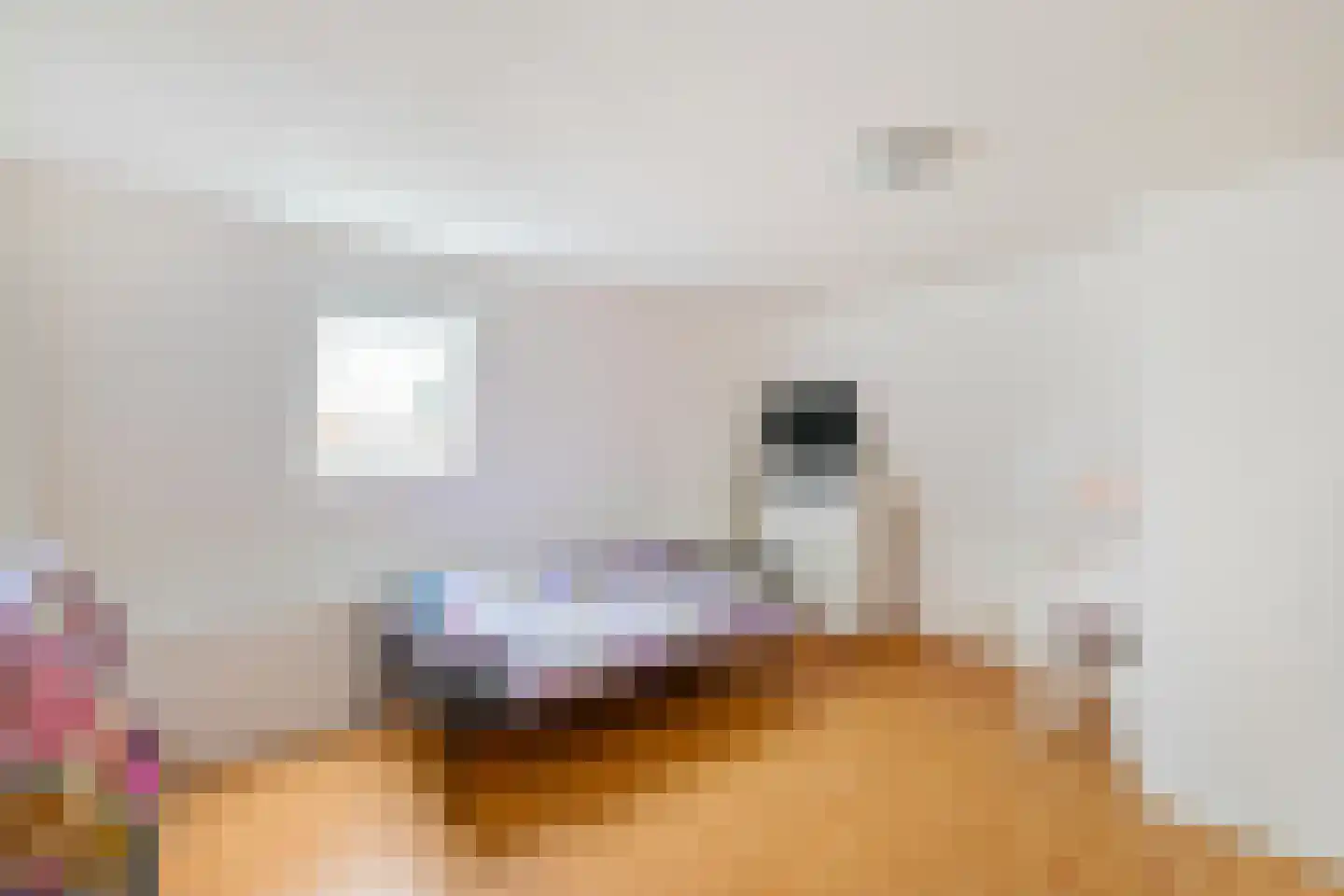 Oude Horn 2 Leens thumbnail 26