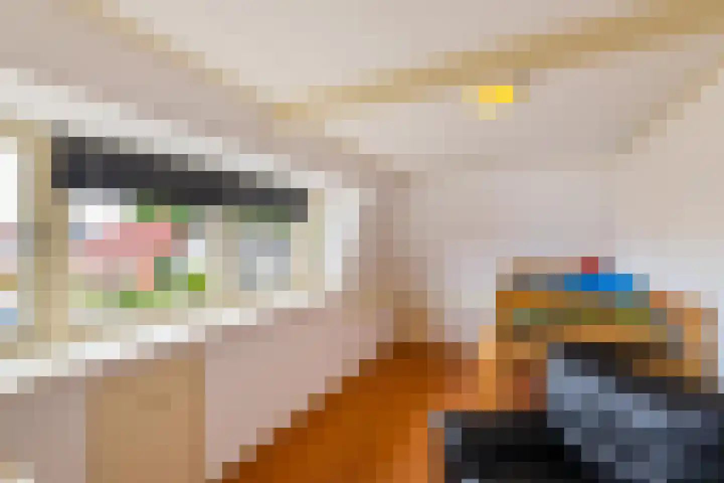 Oude Horn 2 Leens thumbnail 30
