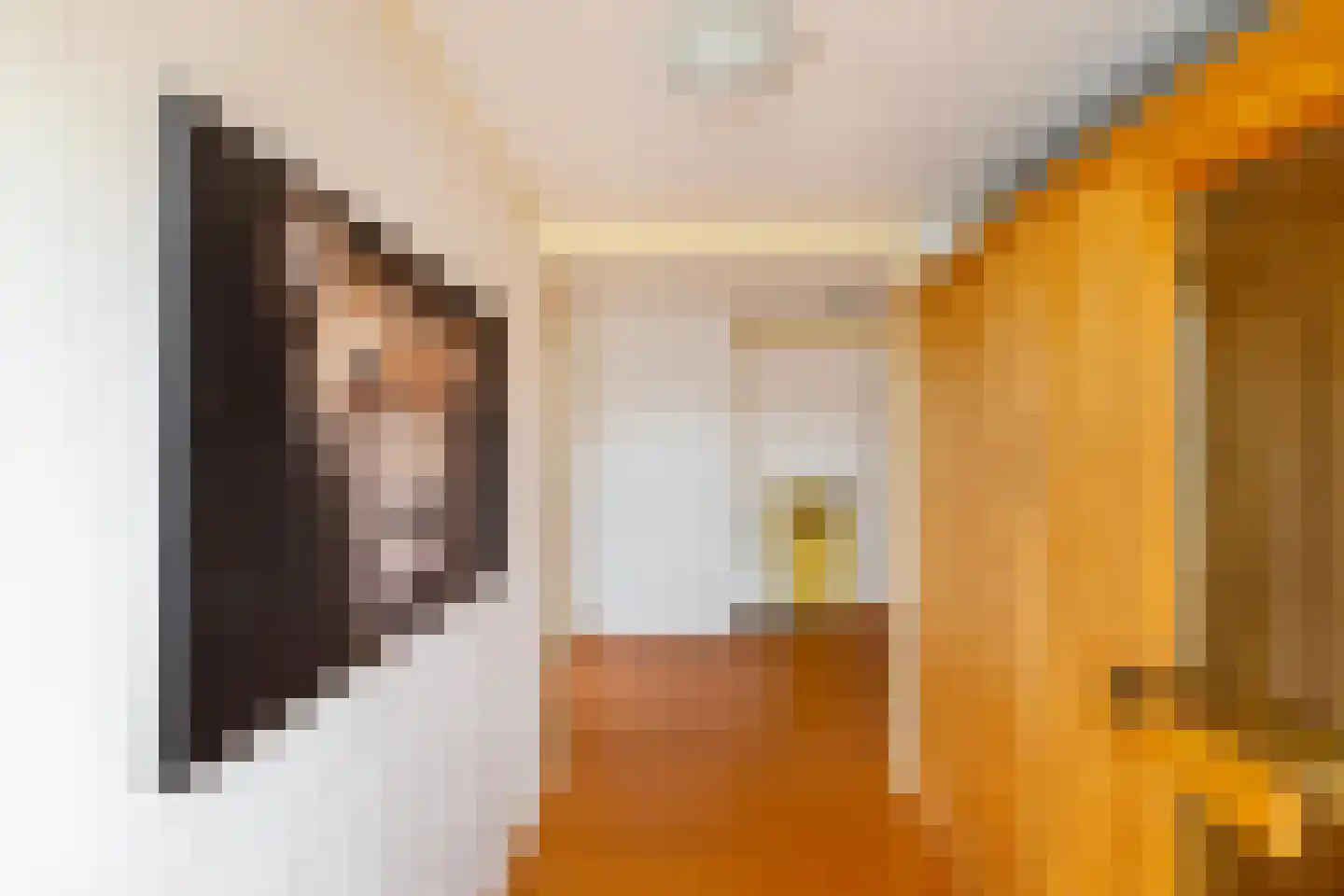 Oude Horn 2 Leens thumbnail 32