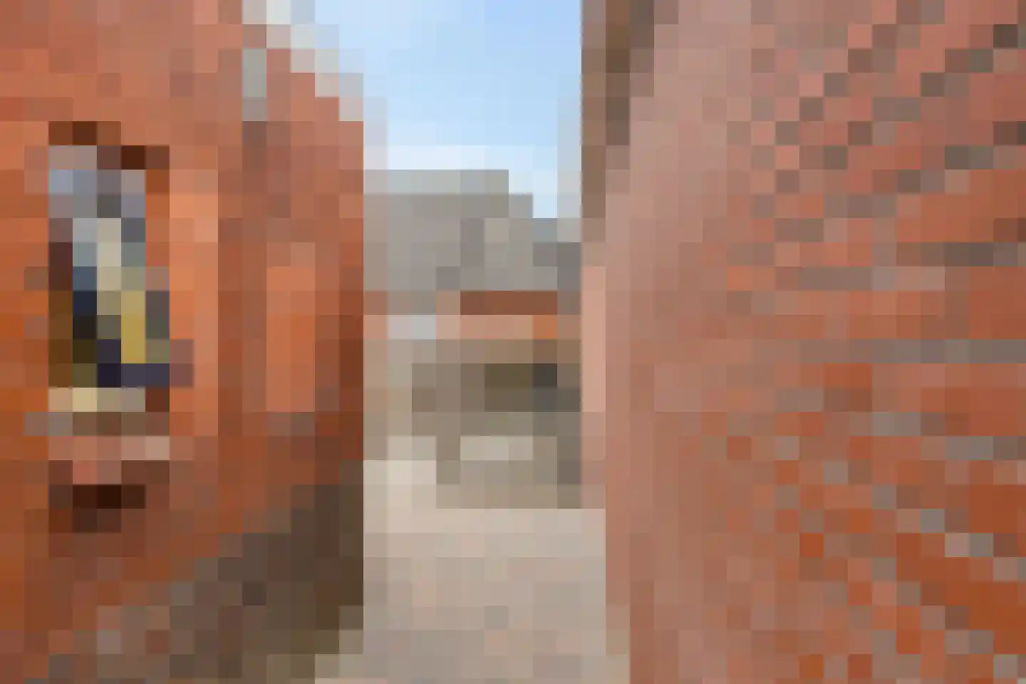 Oude Horn 2 Leens thumbnail 38
