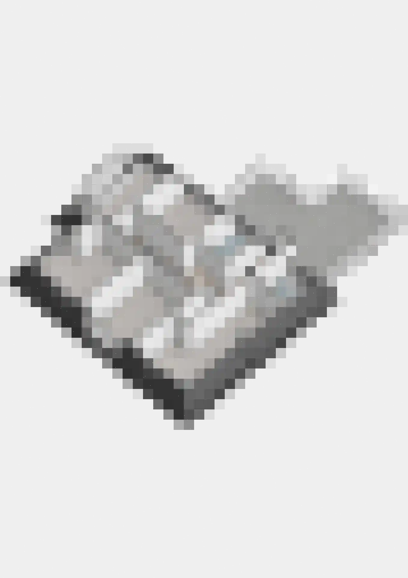 Oude Horn 2 Leens thumbnail 42