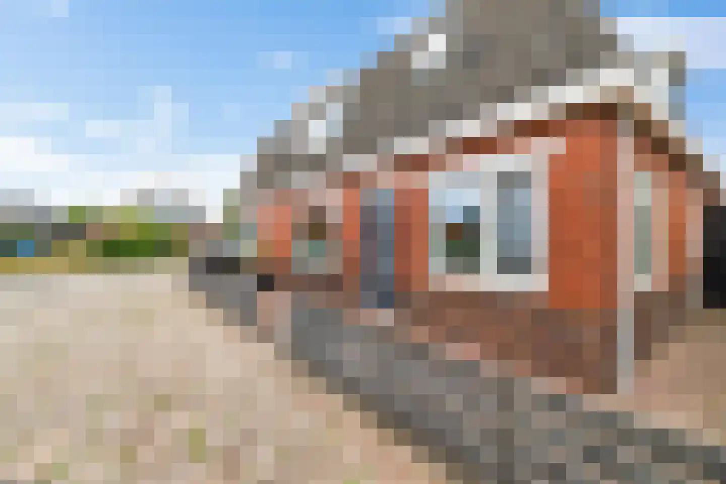 Oude Horn 2 Leens thumbnail 7