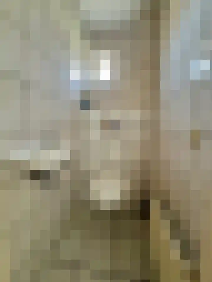 Oude Hornweg 54 Heiligerlee thumbnail 7