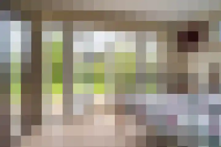 Oude Hornweg 6 Heiligerlee thumbnail 26
