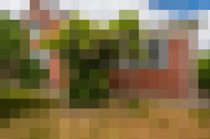 Oude Hornweg 6 Heiligerlee thumbnail 51