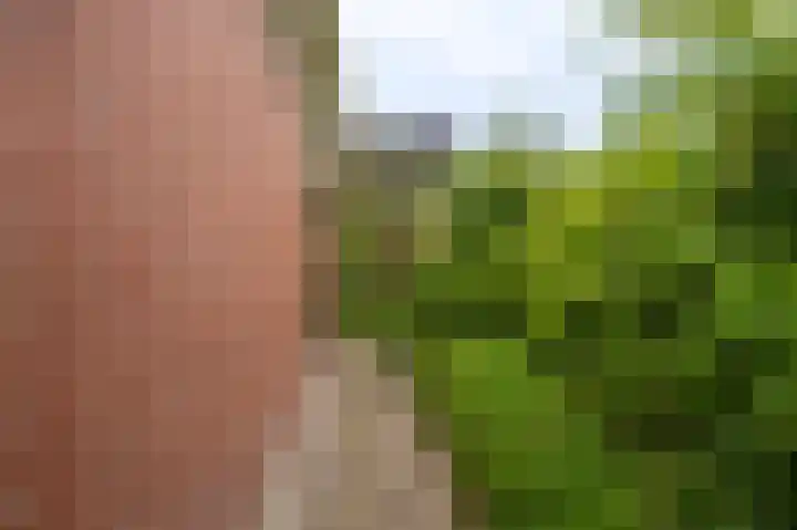 Oude Hornweg 6 Heiligerlee thumbnail 55