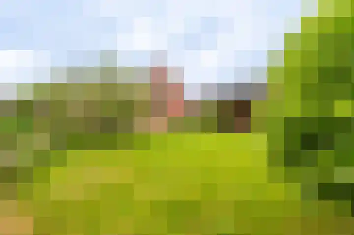 Oude Hornweg 6 Heiligerlee thumbnail 57