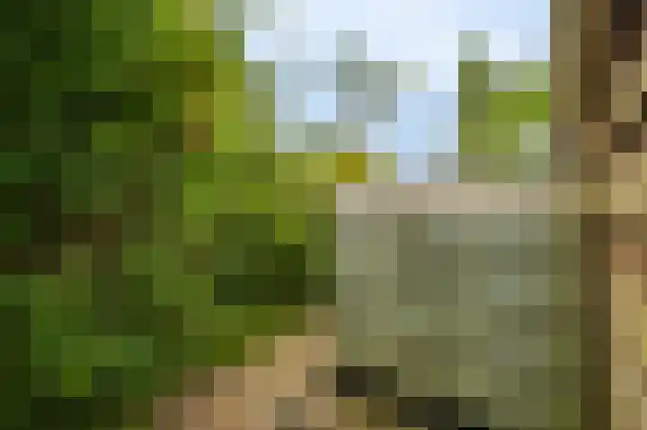 Oude Hornweg 6 Heiligerlee thumbnail 59