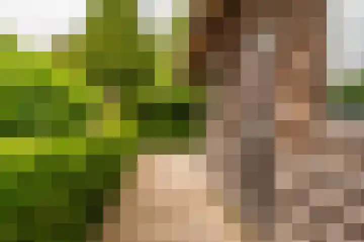 Oude Hornweg 6 Heiligerlee thumbnail 61