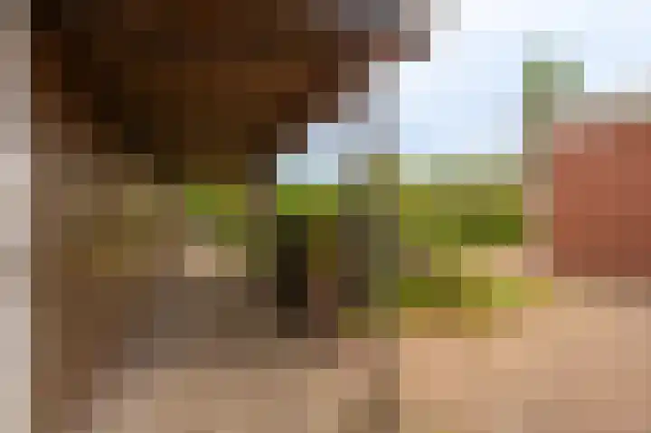 Oude Hornweg 6 Heiligerlee thumbnail 63