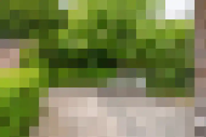 Oude Hornweg 6 Heiligerlee thumbnail 66