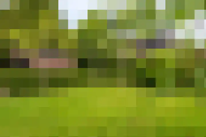 Oude Hornweg 6 Heiligerlee thumbnail 67