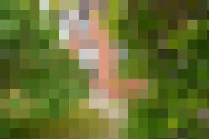 Oude Hornweg 6 Heiligerlee thumbnail 7
