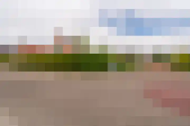 Oude Hornweg 6 Heiligerlee thumbnail 8