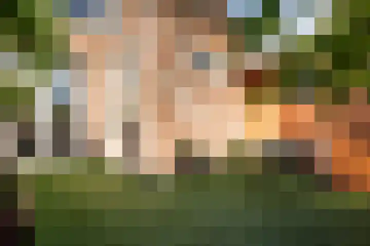 Oude Houtensepad 10 Utrecht thumbnail 22