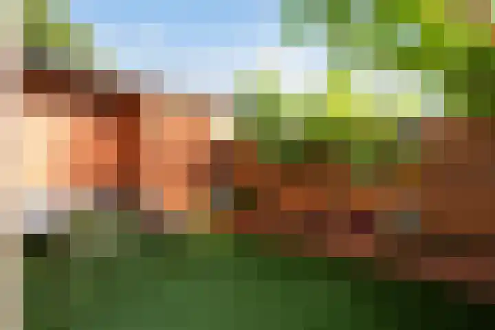 Oude Houtensepad 10 Utrecht thumbnail 23