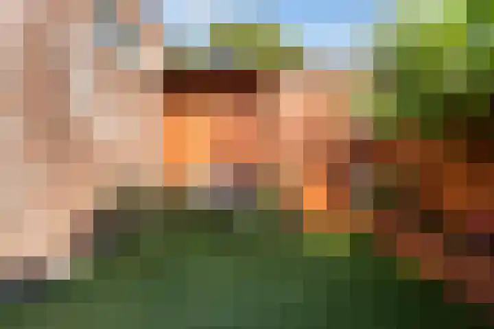 Oude Houtensepad 10 Utrecht thumbnail 24
