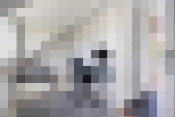 Oude Houtensepad 10 Utrecht thumbnail 40