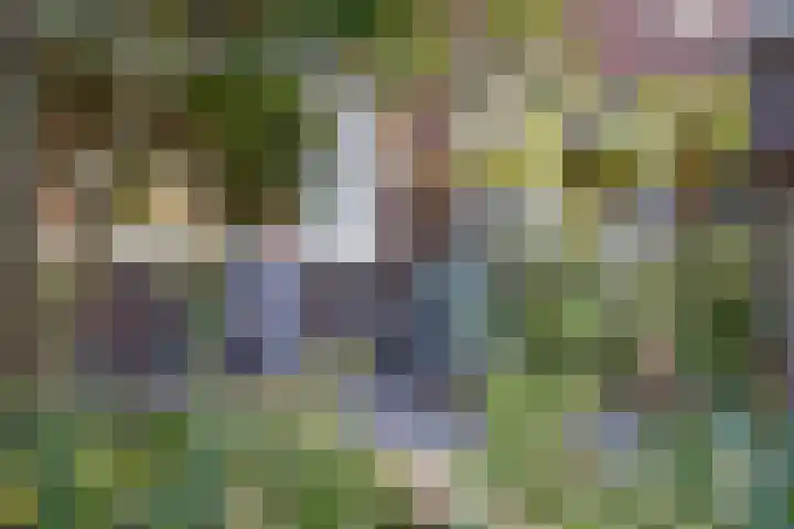 Oude Houtensepad 10 Utrecht thumbnail 48
