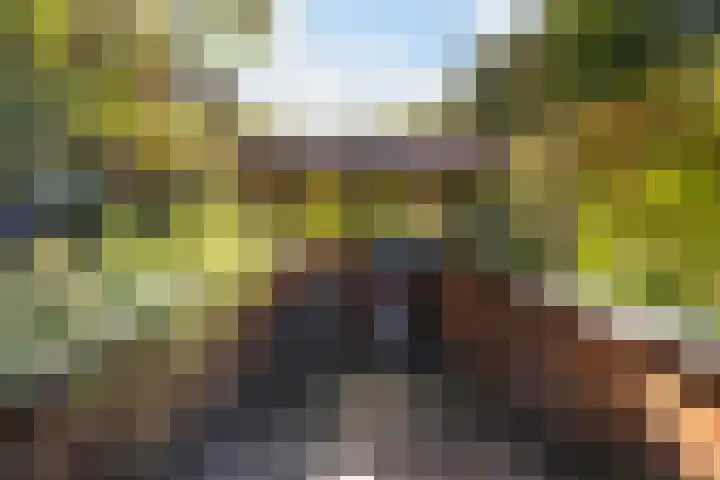 Oude Houtensepad 10 Utrecht thumbnail 49
