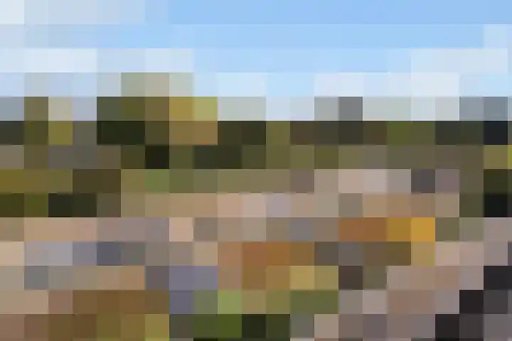 Oude Houtensepad 10 Utrecht thumbnail 52