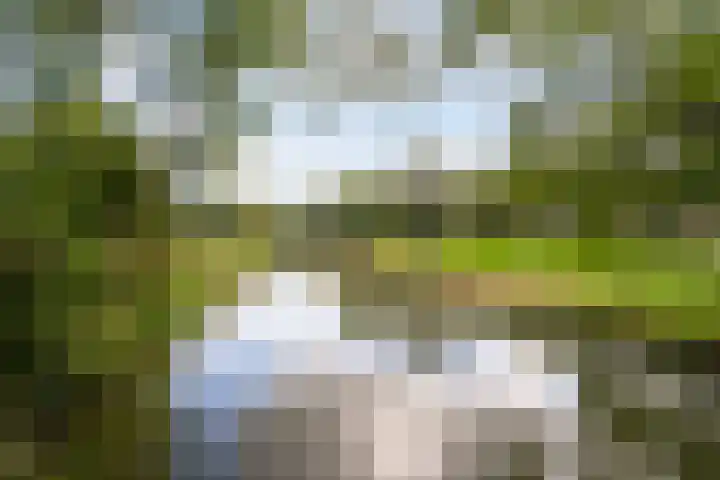 Oude Houtensepad 10 Utrecht thumbnail 58
