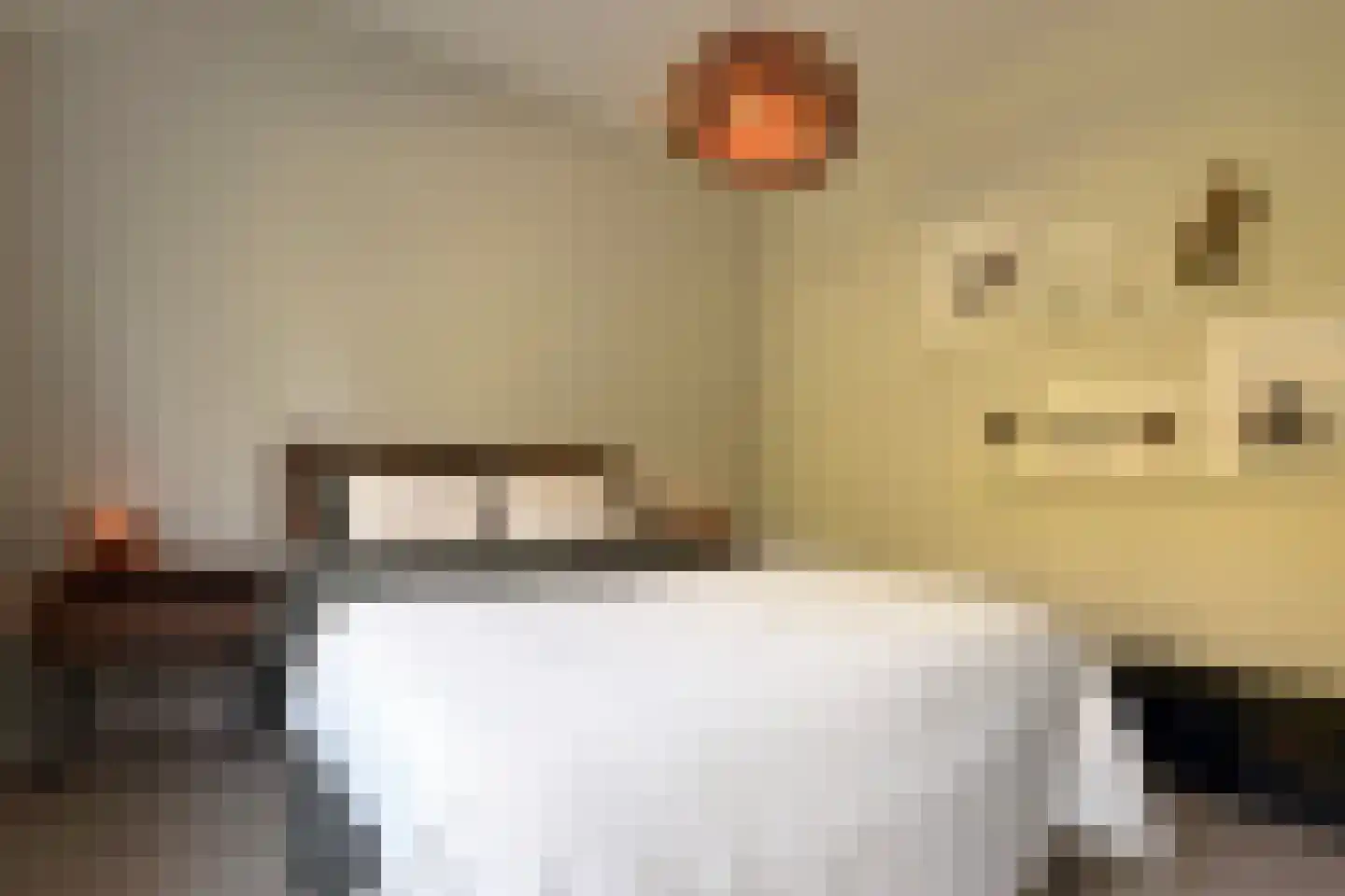 Oude Houtensepad 30 Utrecht thumbnail 36