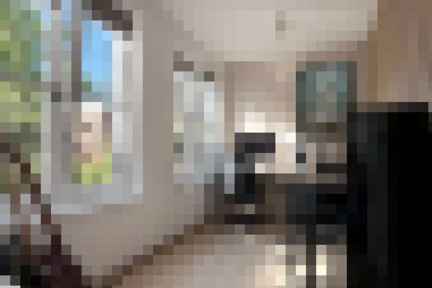 Oude Houtensepad 30 Utrecht thumbnail 51