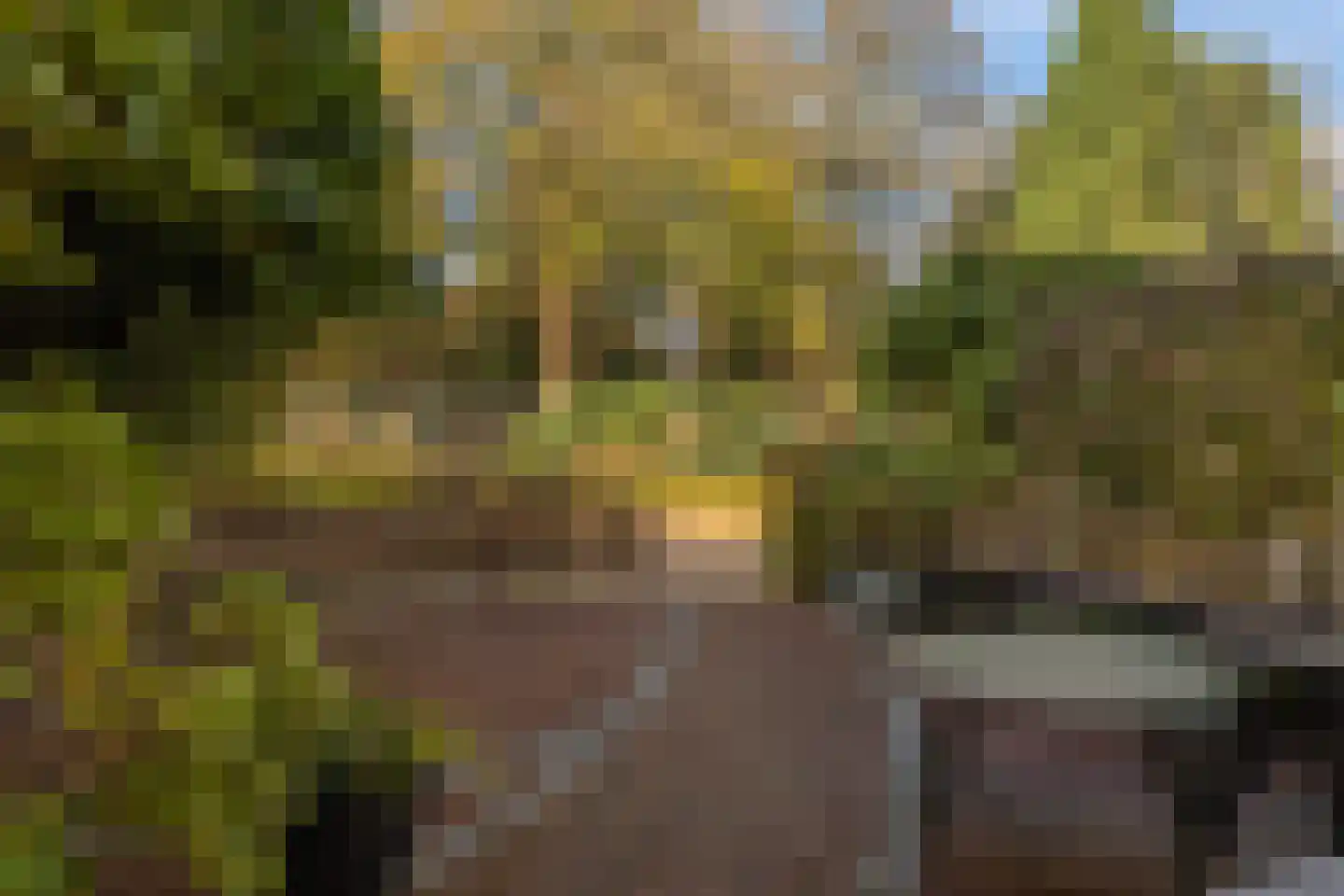 Oude Houtensepad 30 Utrecht thumbnail 7
